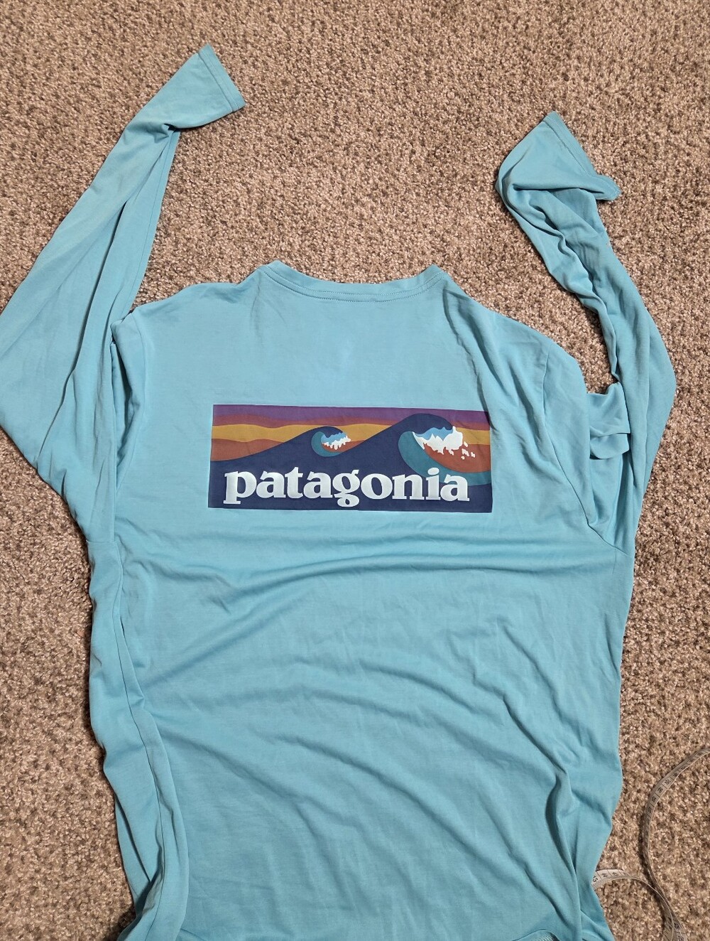 Patagonia Capilene Cool Daily Graphic Long-Sleeve Shirt Men's Medium Blue 45190